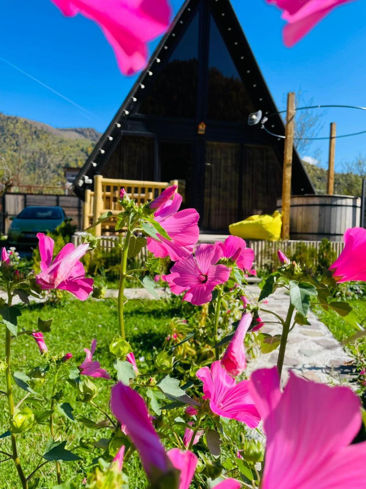 Borjomi Story Villa ภายนอก รูปภาพ